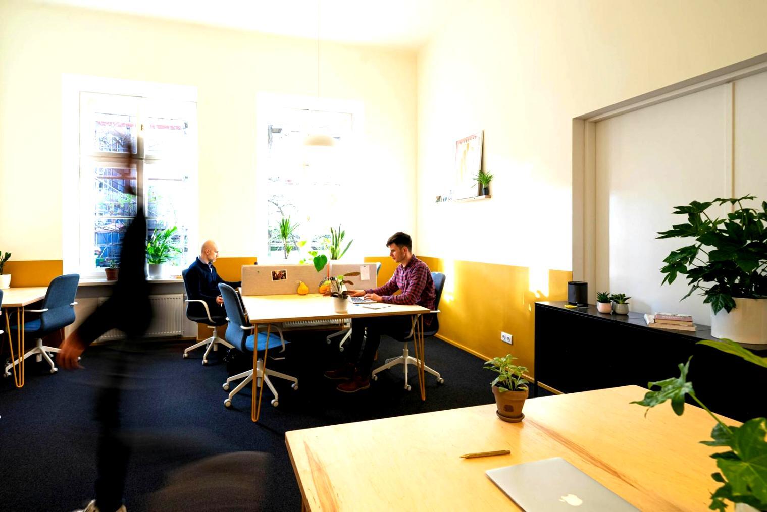Studenten arbeiten an Finanzanalysen